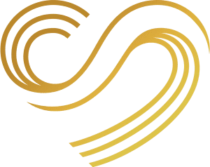 World Discovery logo